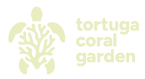 Tortuga Coral Garden